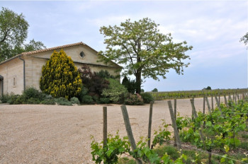 Pomerol Séduction <br> Un week-end à vélo dans le Bordelais
